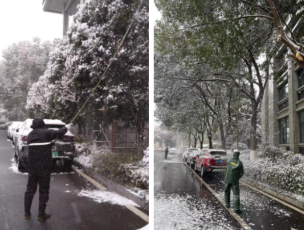 以雪為“令”，以動(dòng)止“凍”